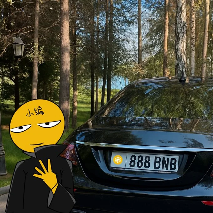 Palu Meme - Thanks to Crypto